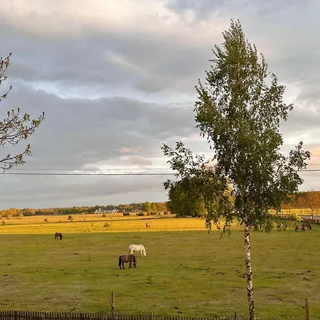 Przestronny 85 M2 Na Mazurach - 3 Sypialnie *